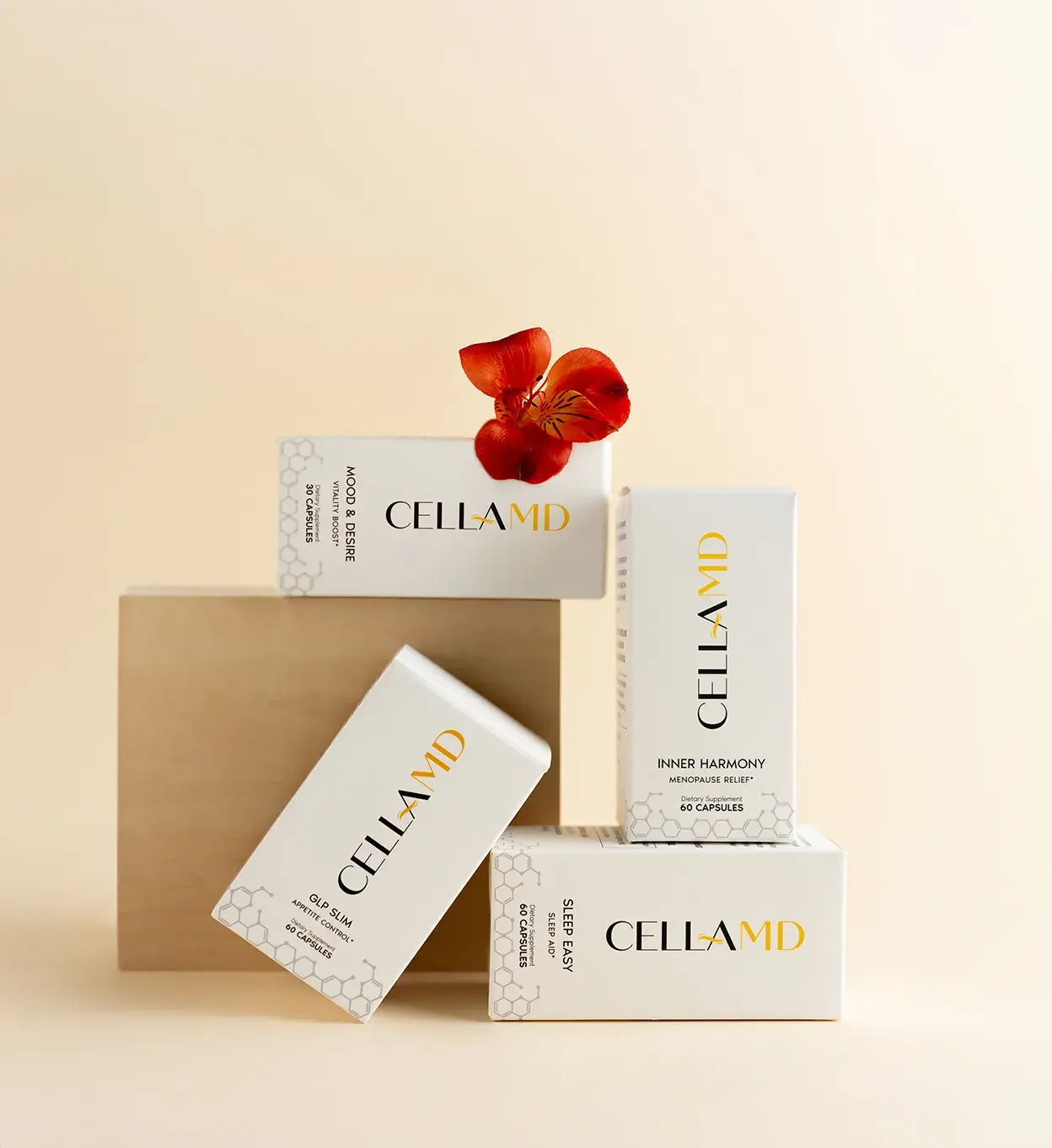 contact.section.imageAlt