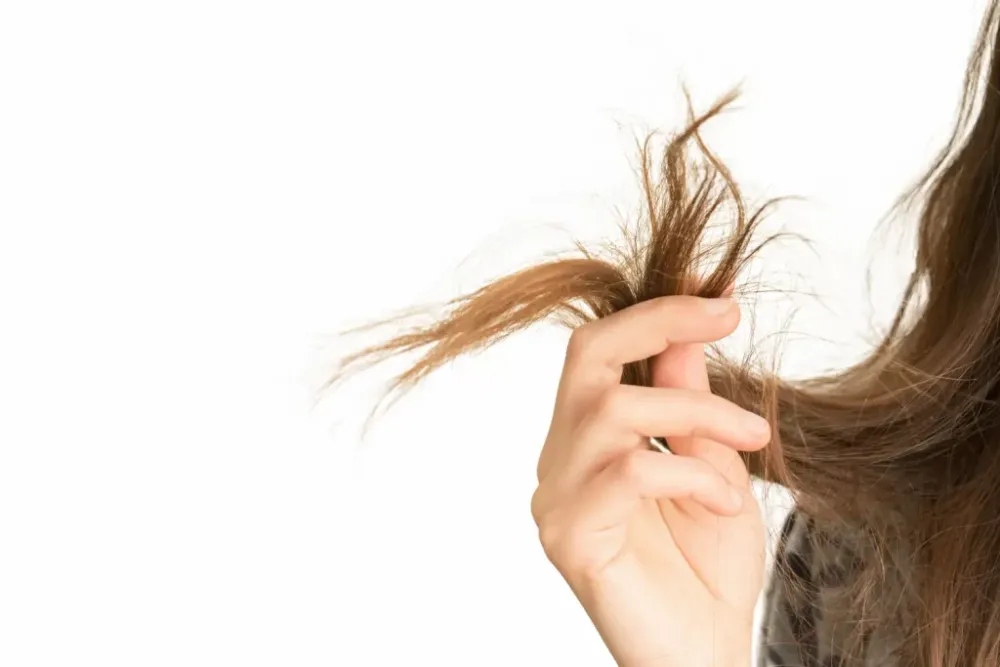 How to Treat Split Ends in Menopausal Hair