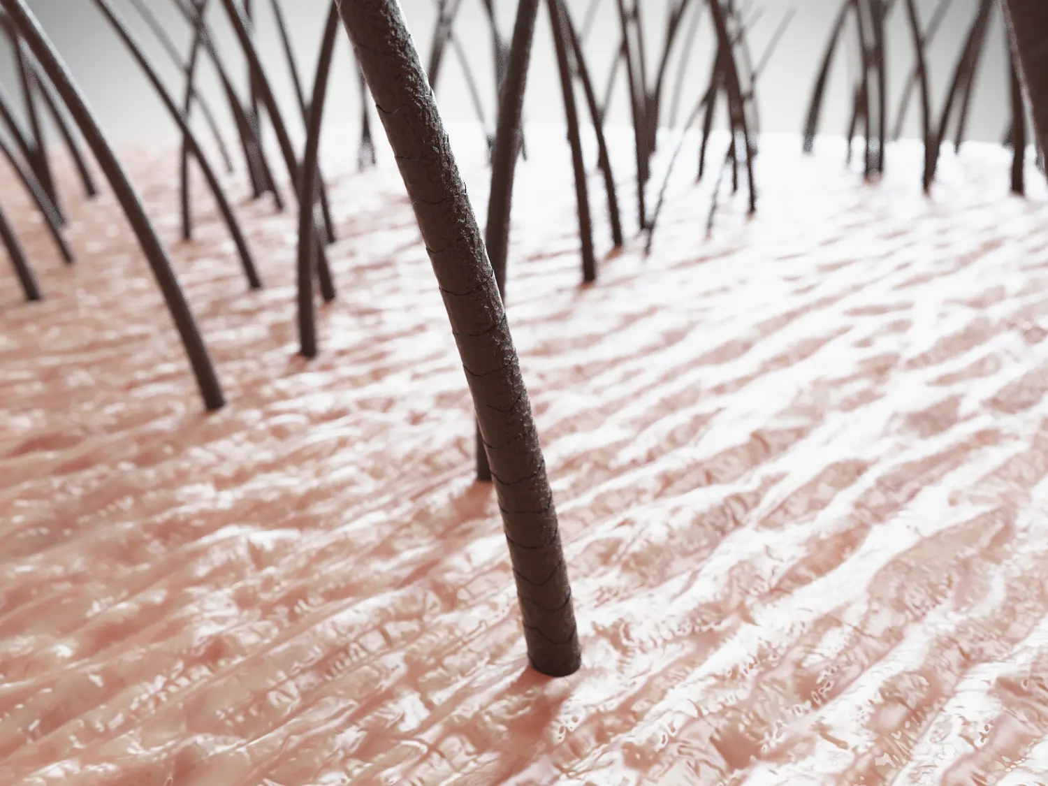 The Best Hair Care Routine for Menopausal Scalp