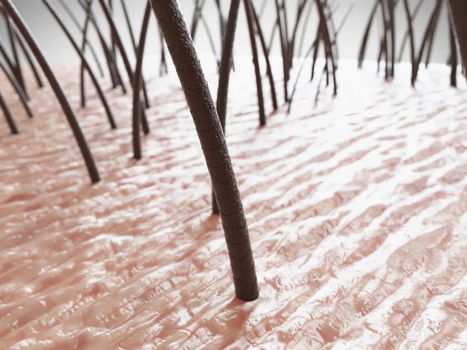 The Best Hair Care Routine for Menopausal Scalp