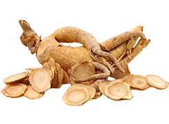 A ginseng root, displayed whole and sliced, rests on a white background. Several thin, pale brown slices surround the main root.